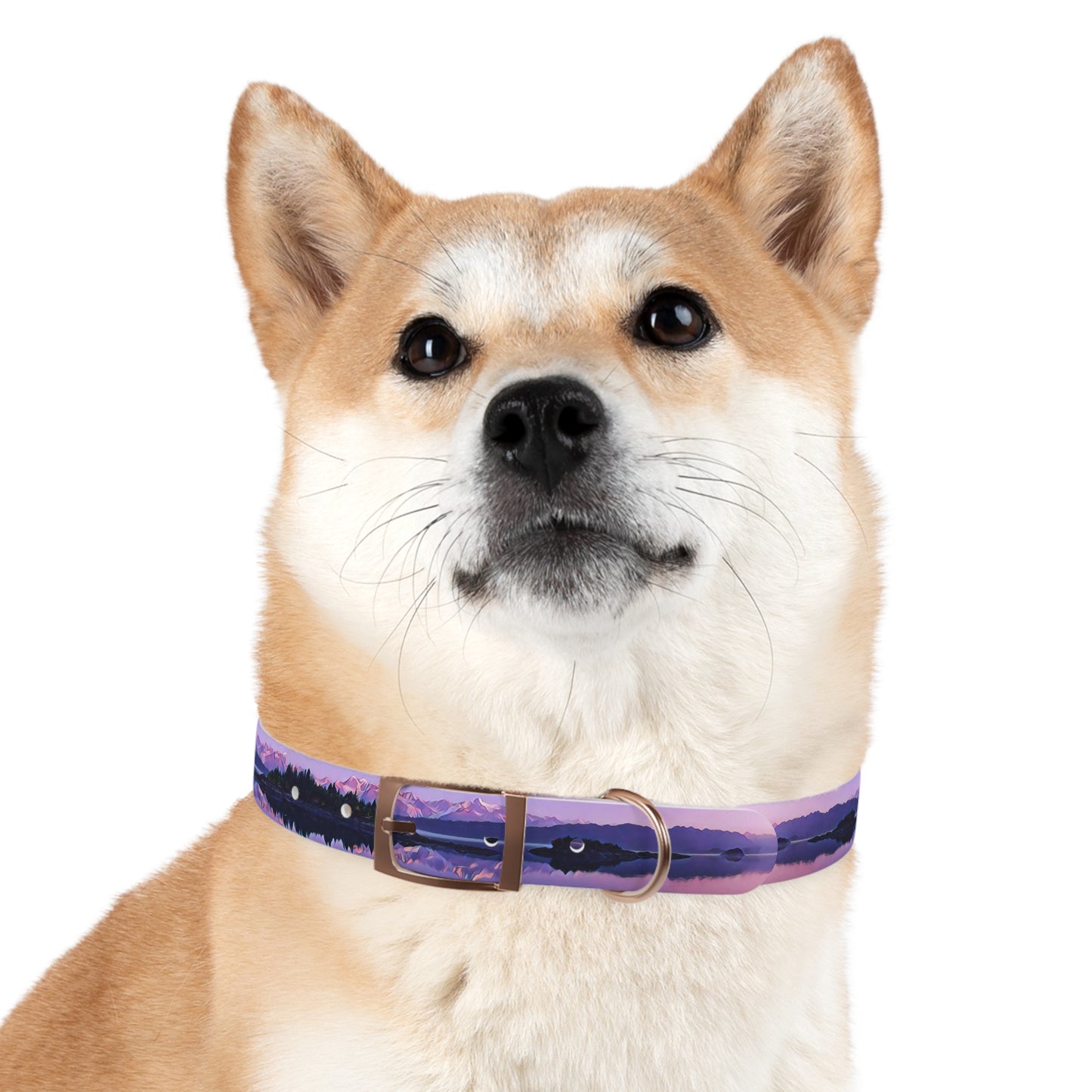 Dog Collar Alpenglow