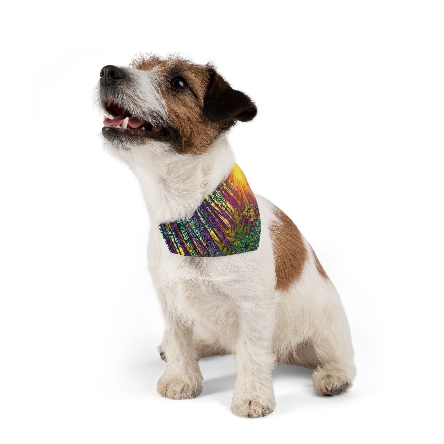 Pet Bandana Collar Crystal Light