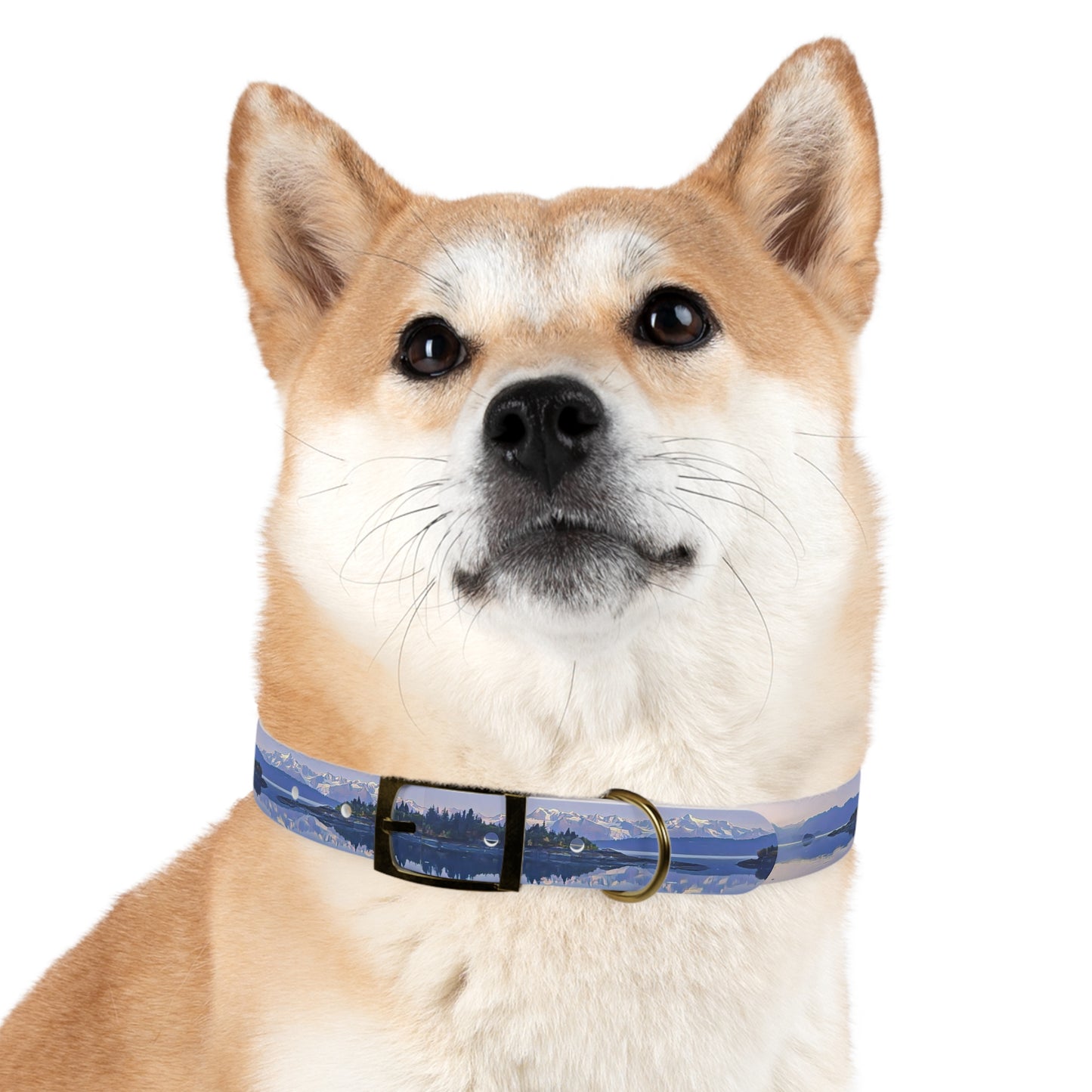 Dog Collar Morning Delight