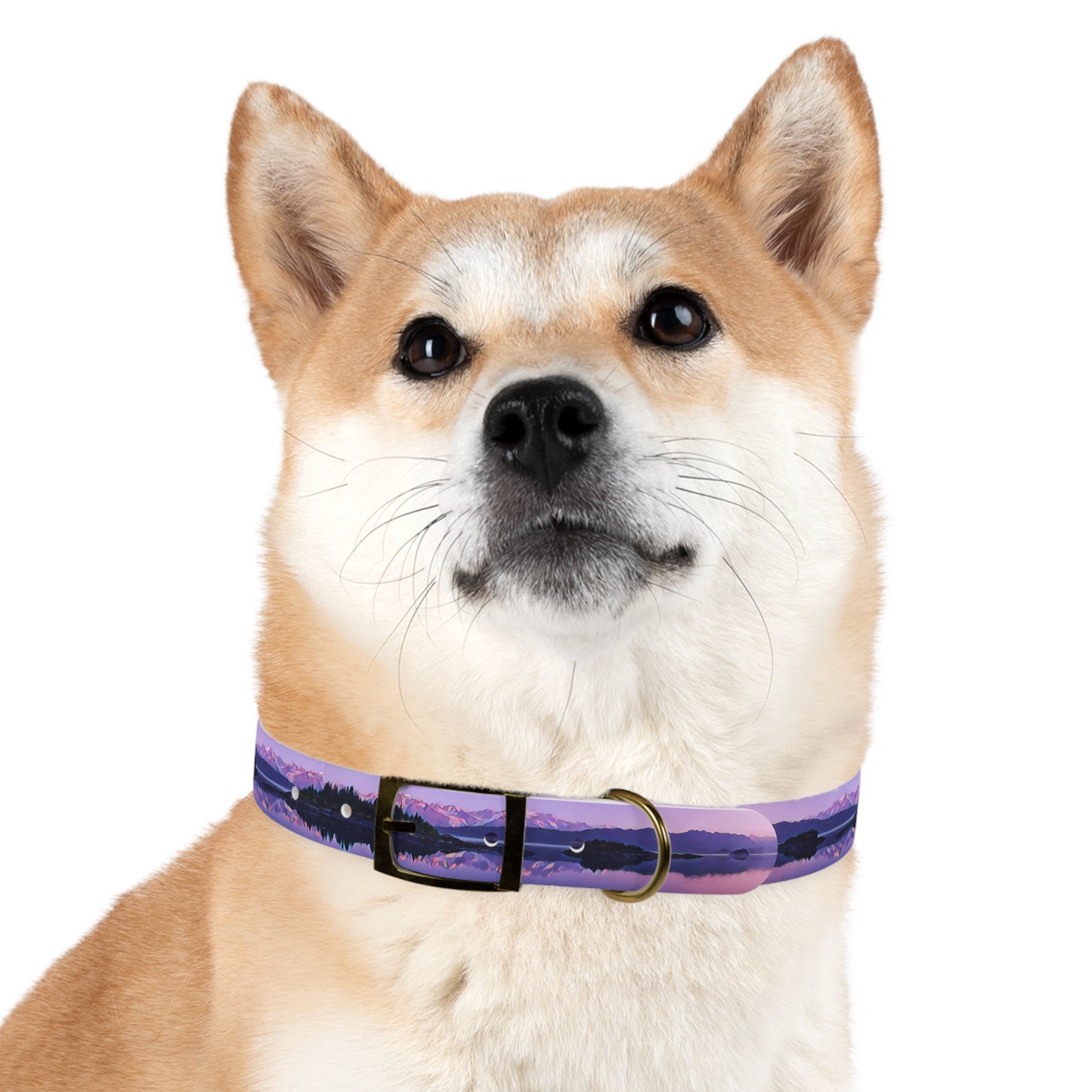 Dog Collar Alpenglow