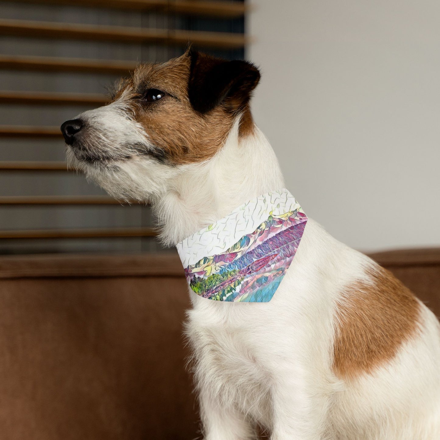 Pet Bandana Collar Oceans & Mtns