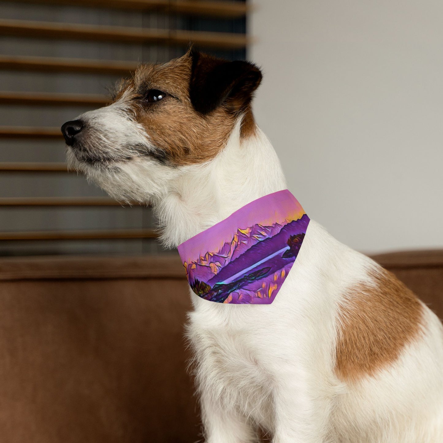 Pet Bandana Collar, New Dawn