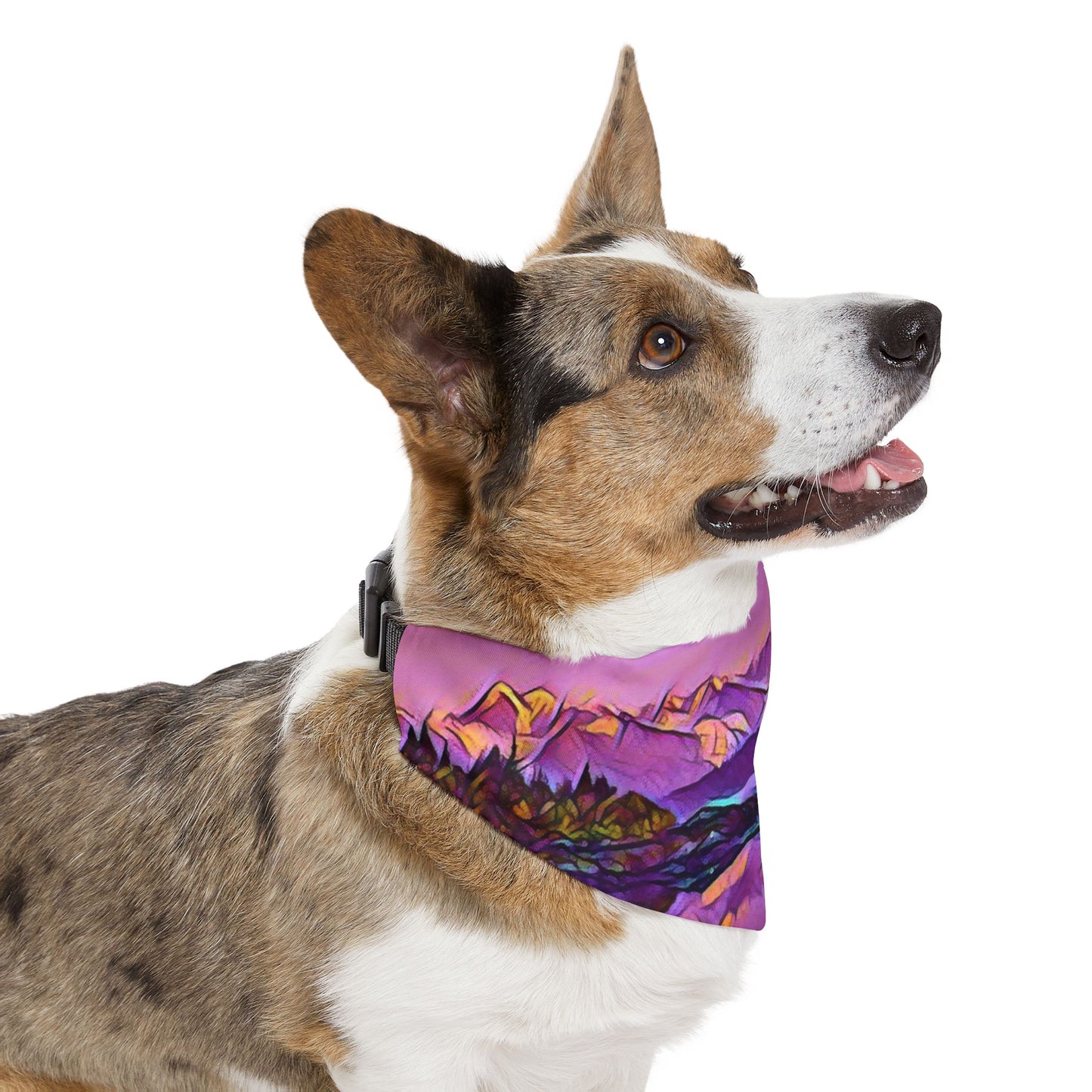 Pet Bandana Collar, New Dawn