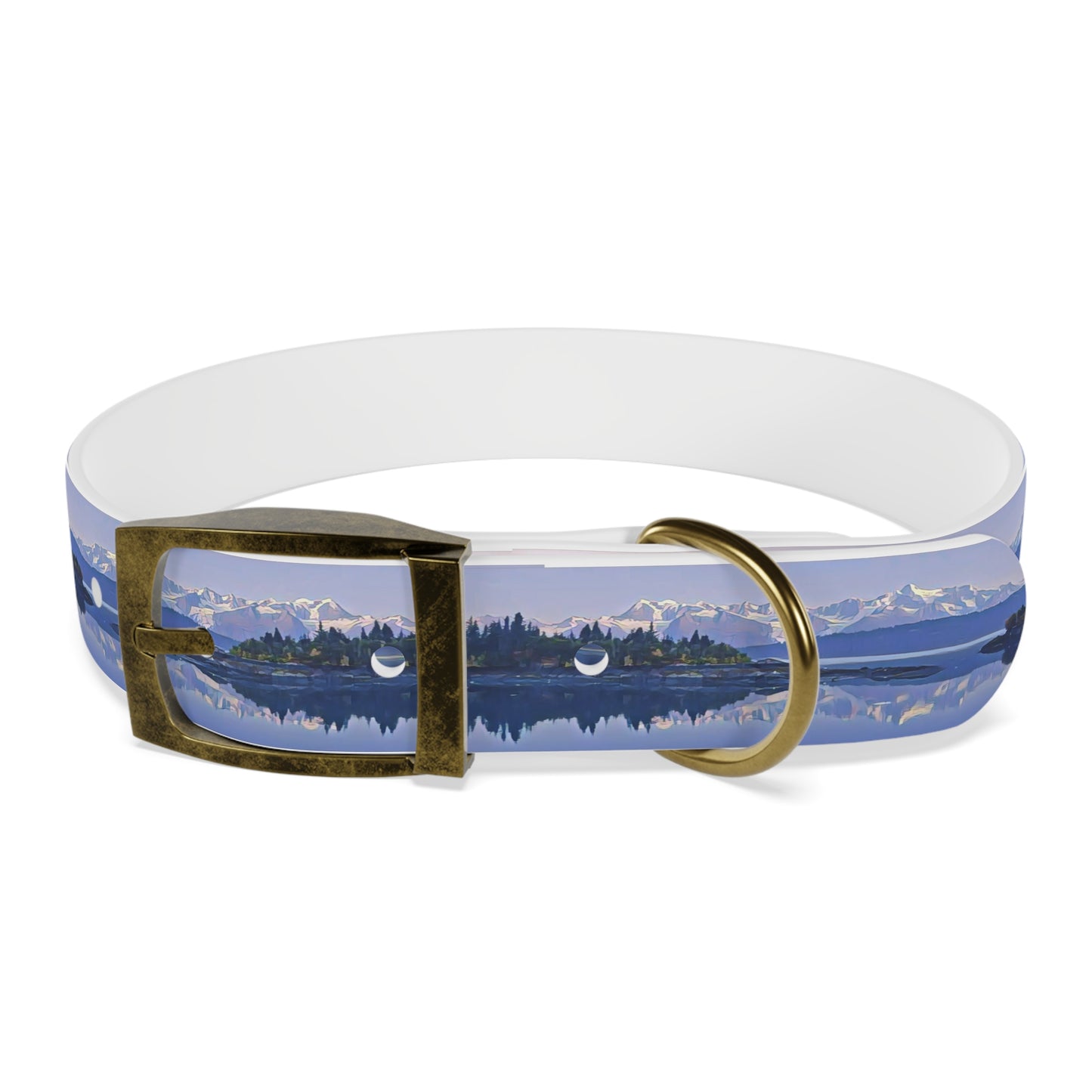 Dog Collar Morning Delight