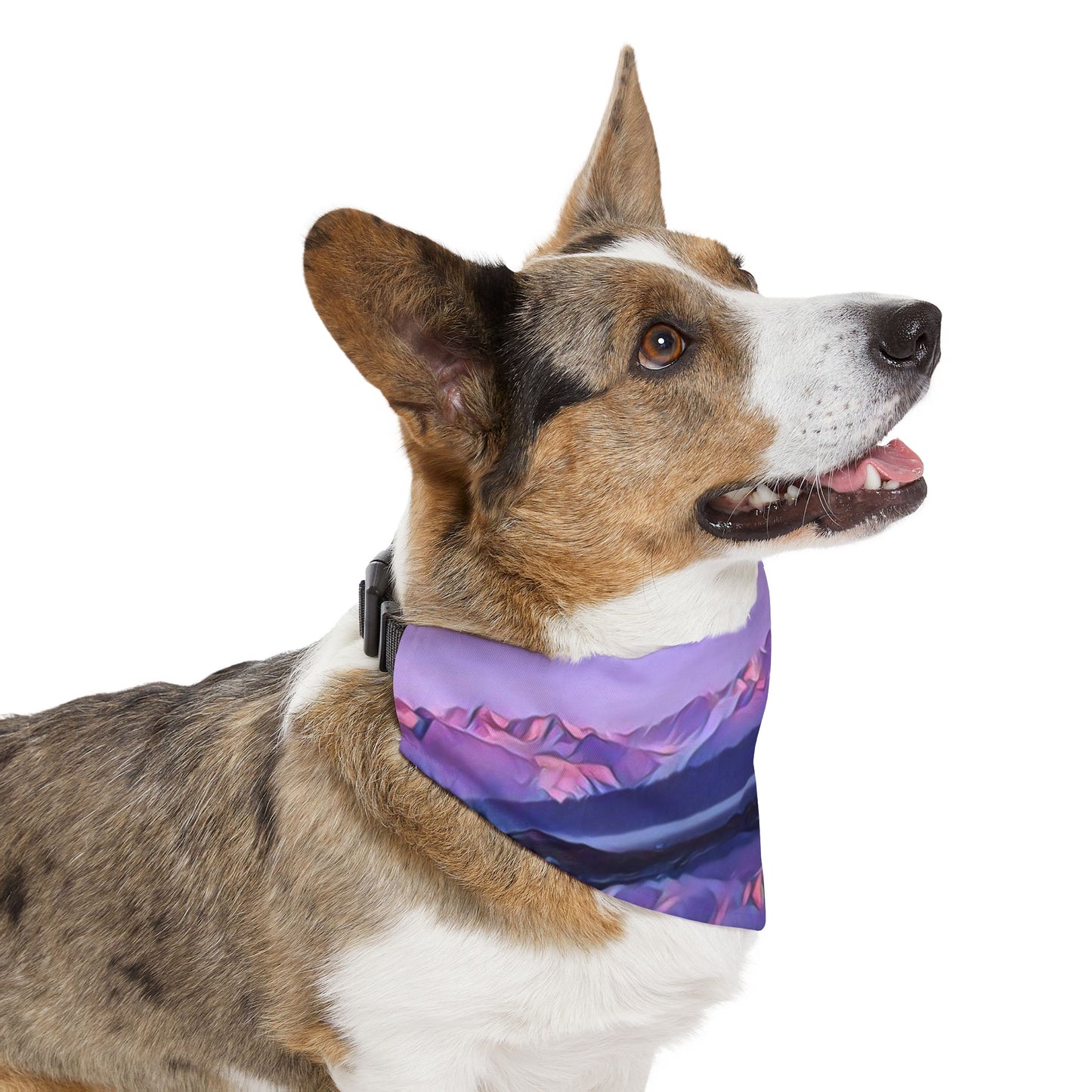 Pet Bandana Collar, Alpenglow