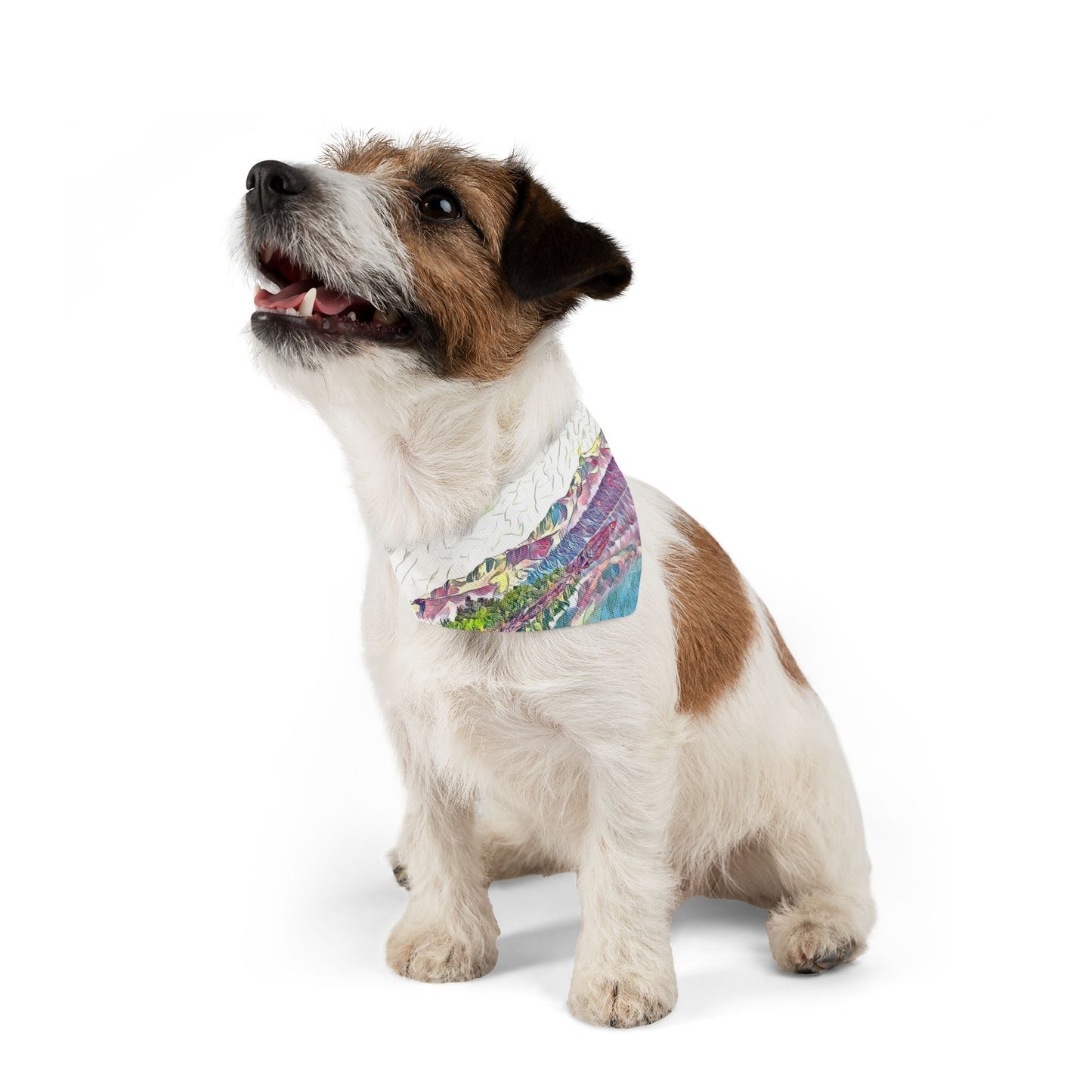 Pet Bandana Collar Oceans & Mtns