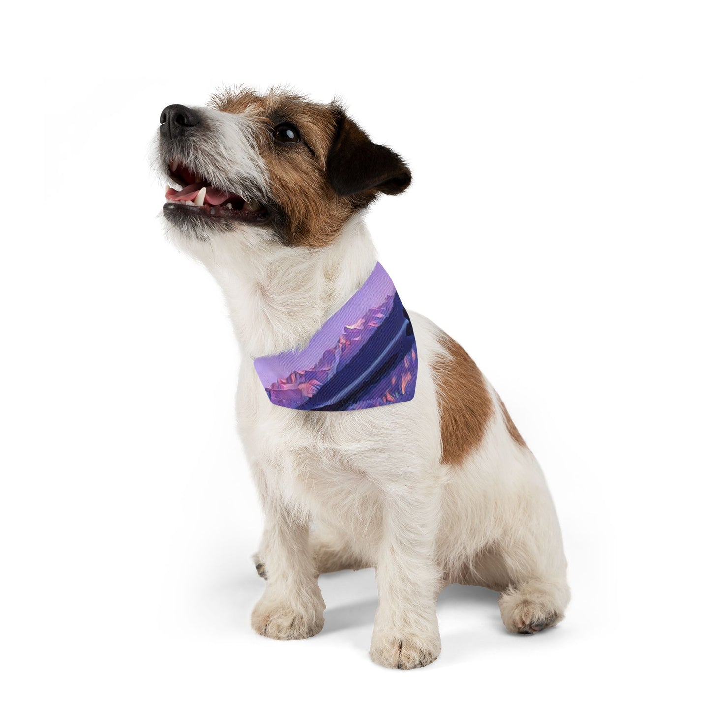 Pet Bandana Collar, Alpenglow