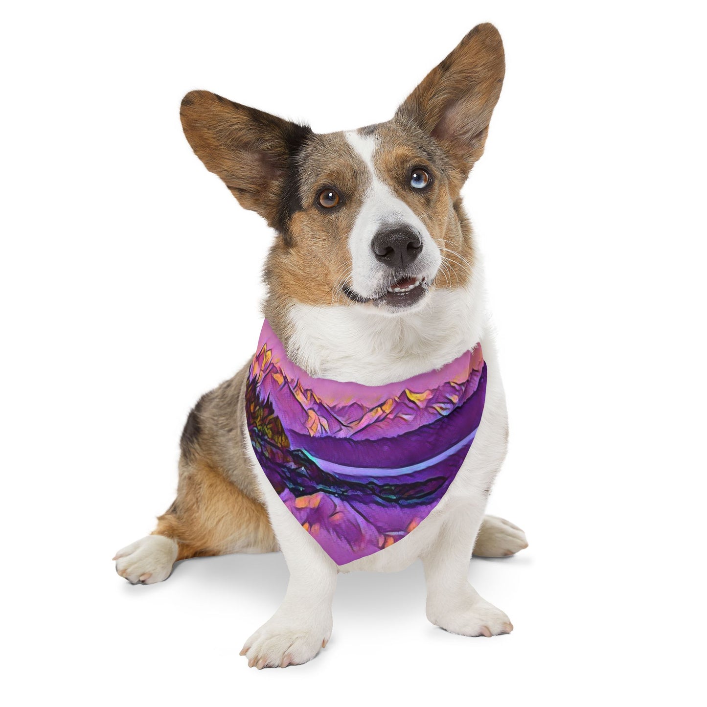 Pet Bandana Collar, New Dawn