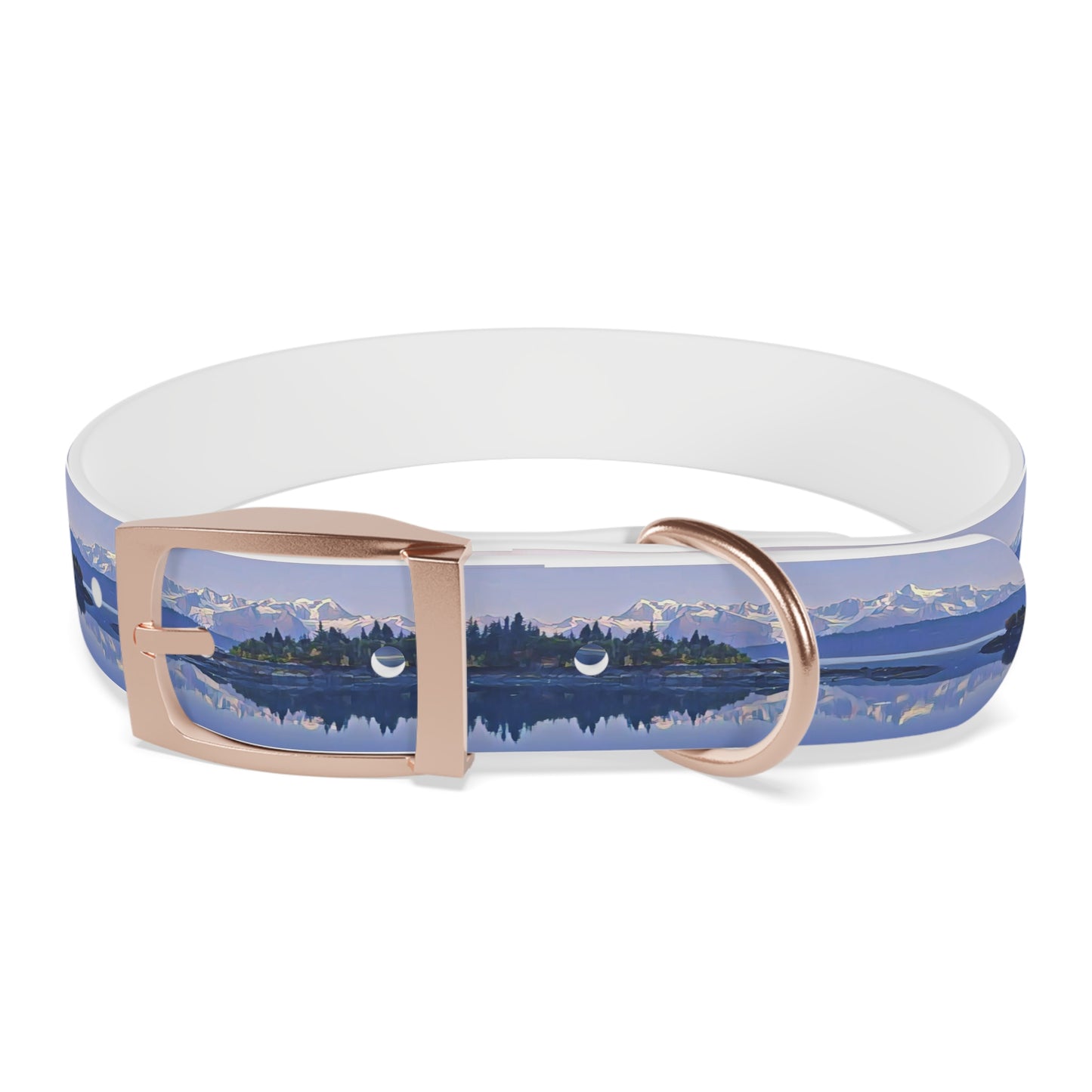 Dog Collar Morning Delight