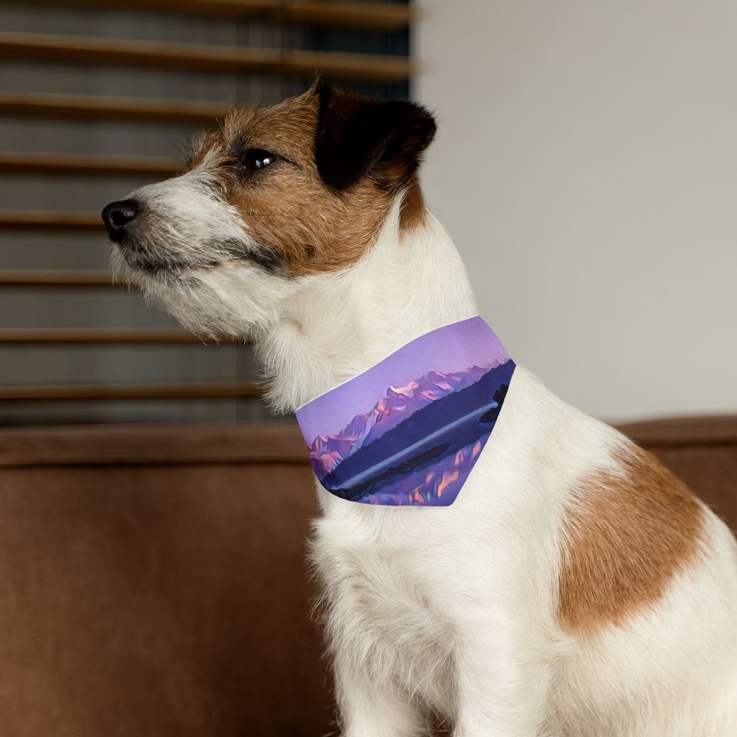 Pet Bandana Collar, Alpenglow