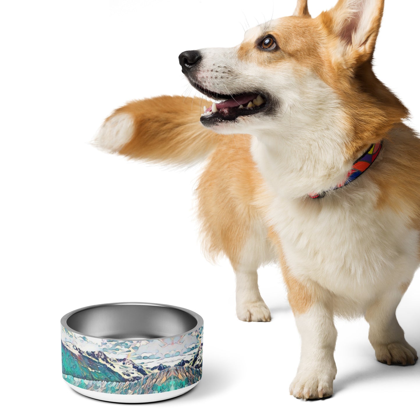Pet bowl Glacier View