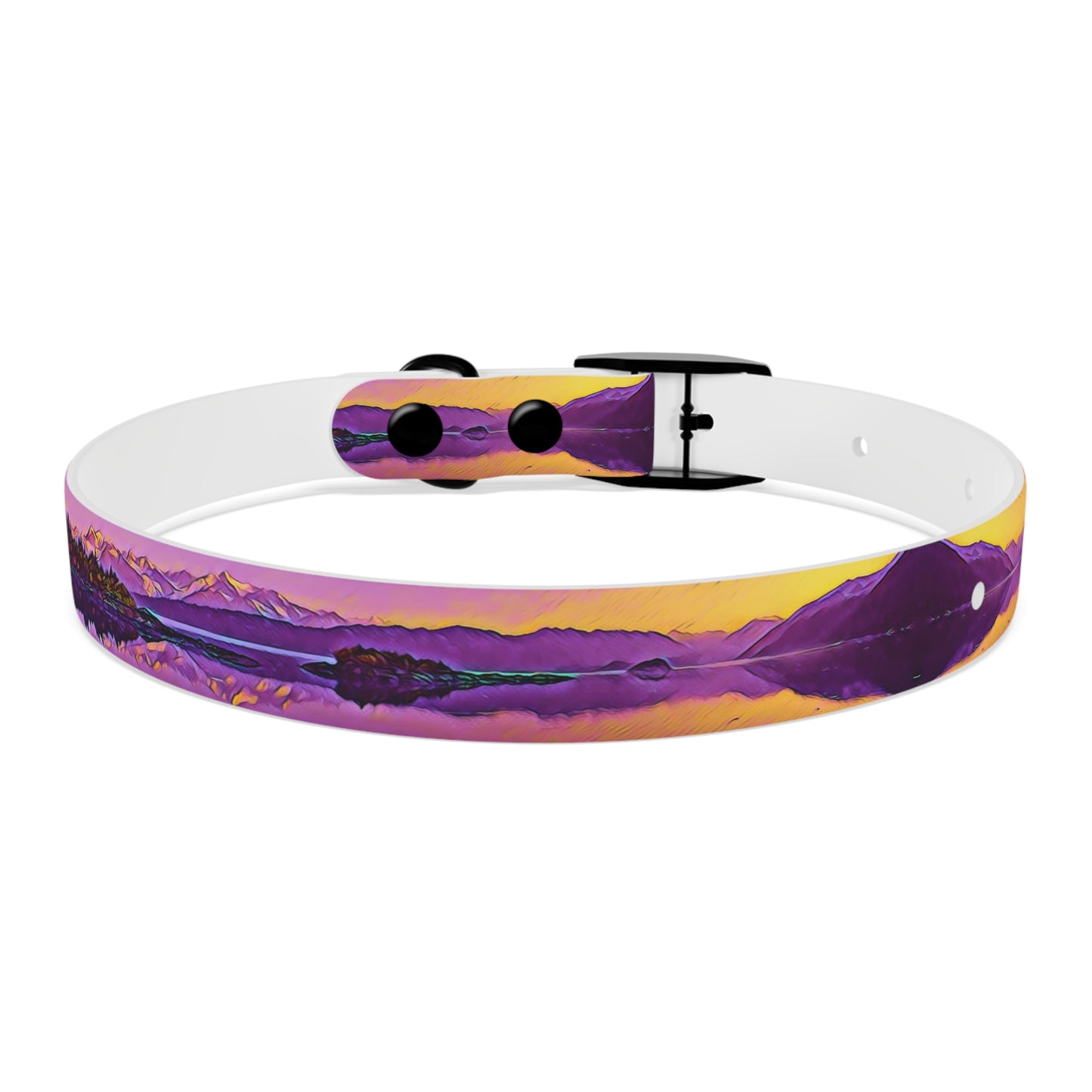 Dog Collar New Dawn