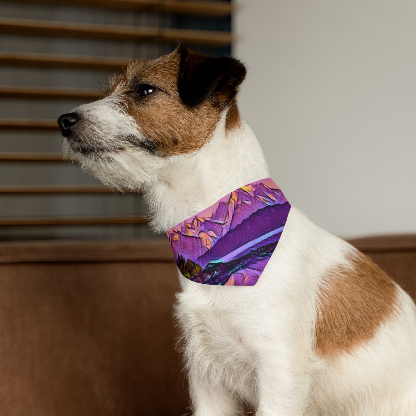 Pet Bandana Collar New Dawn