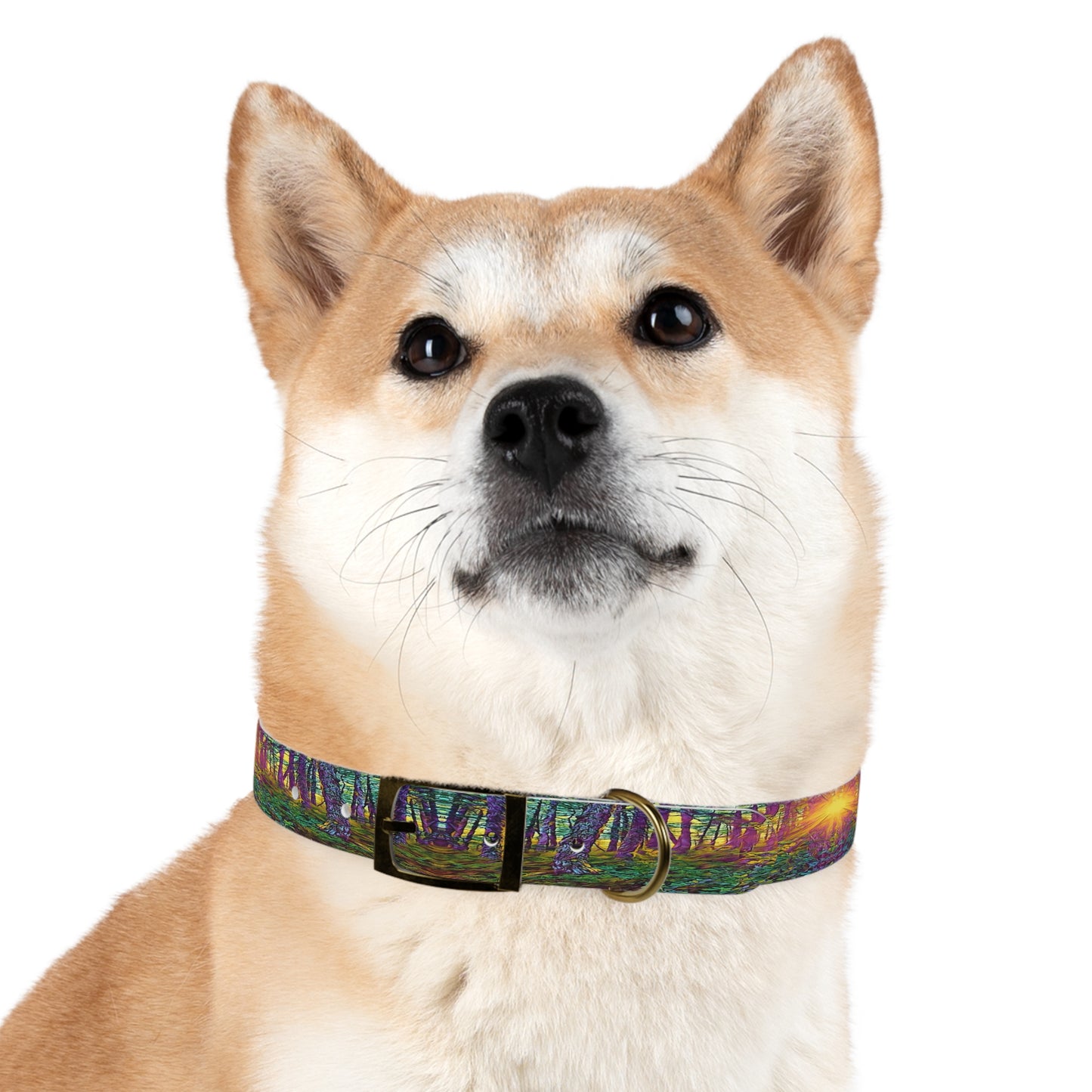 Dog Collar Crystal Light