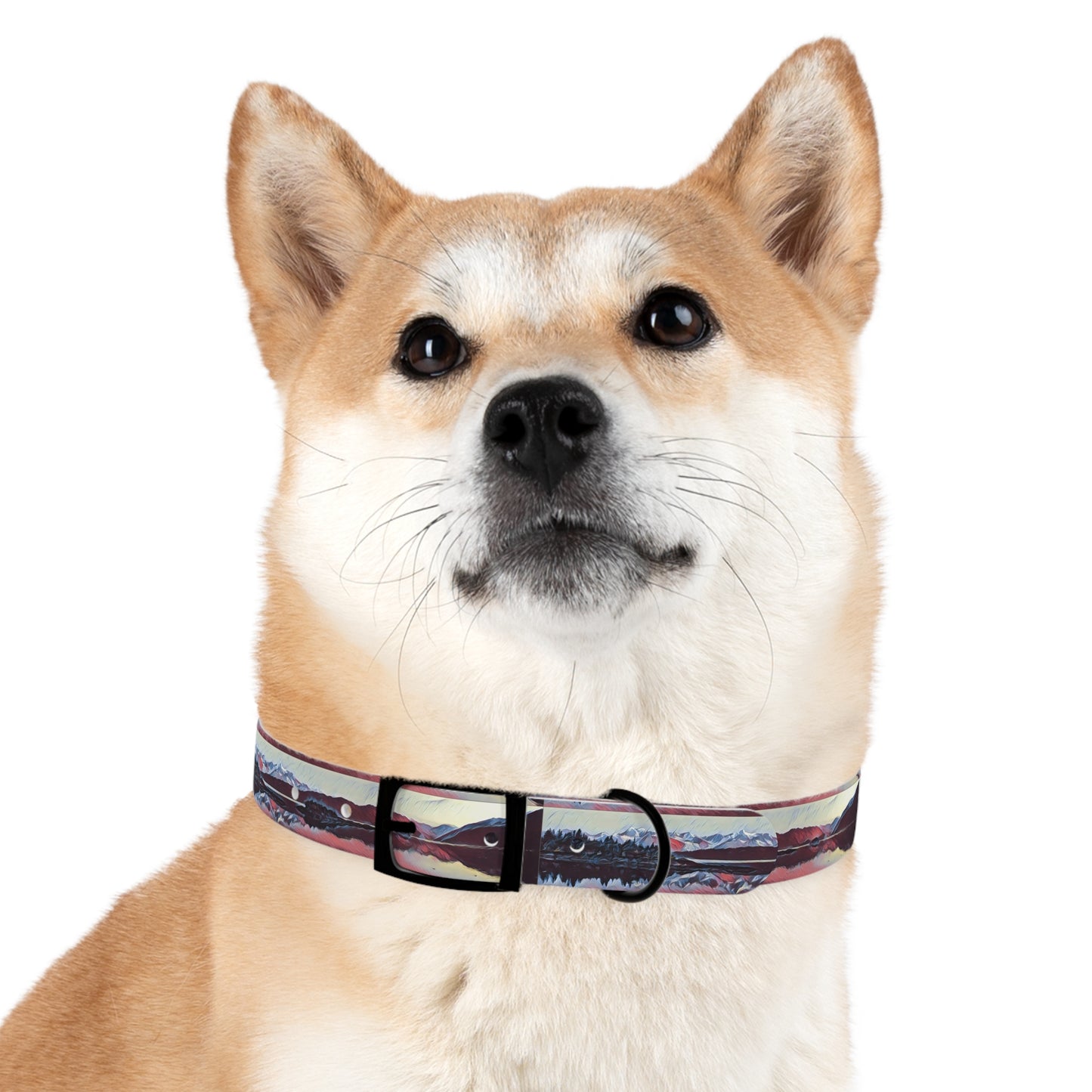 Dog Collar Ice & Fire