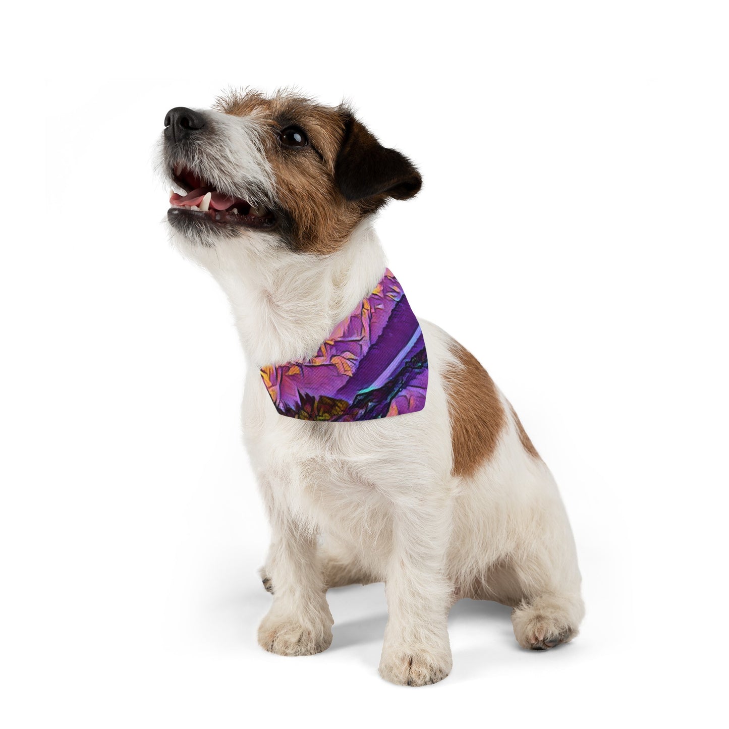 Pet Bandana Collar New Dawn