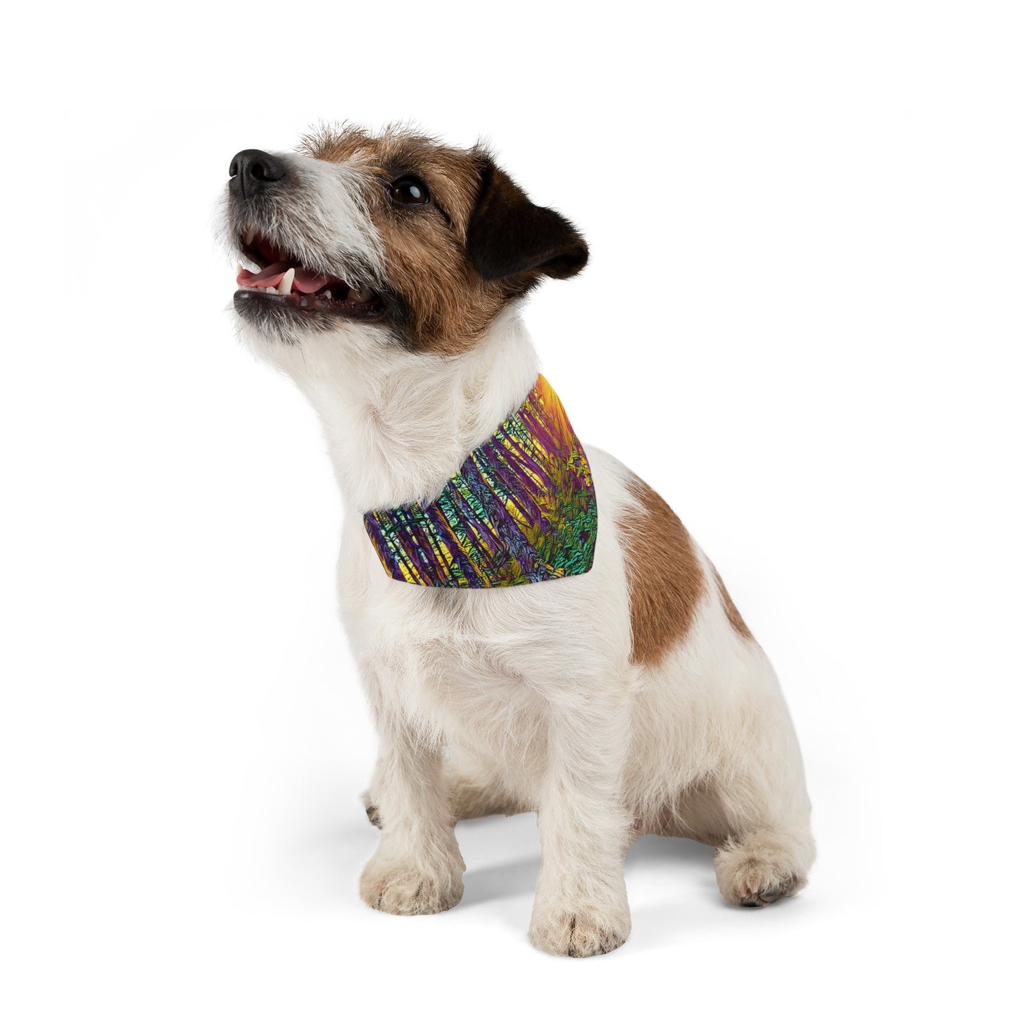 Pet Bandana Collar Crystal Light