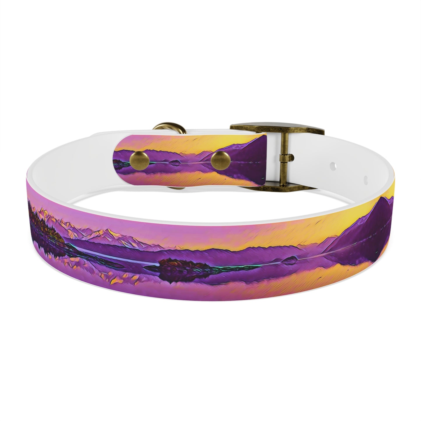 Dog Collar New Dawn