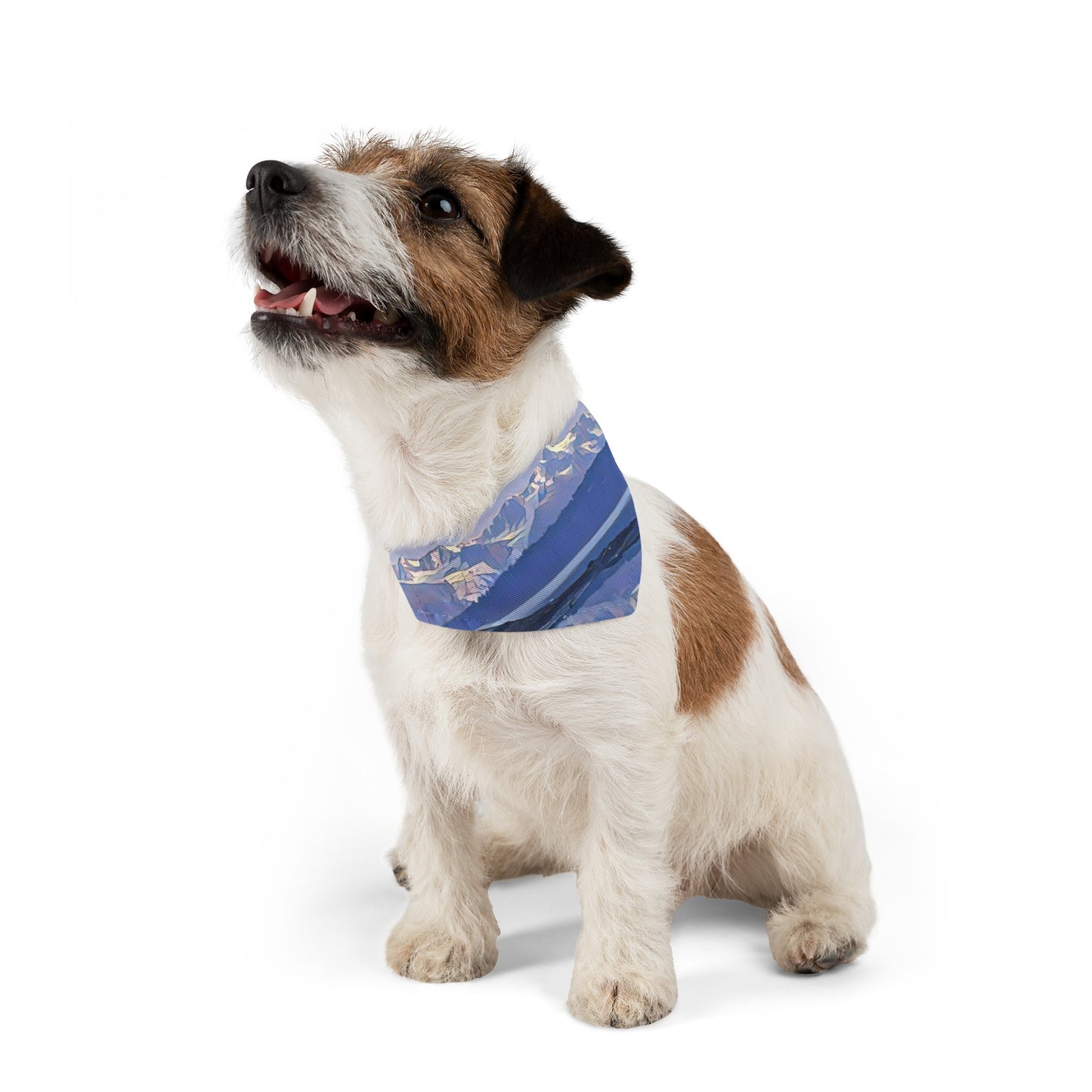 Pet Bandana Collar Morning Delight