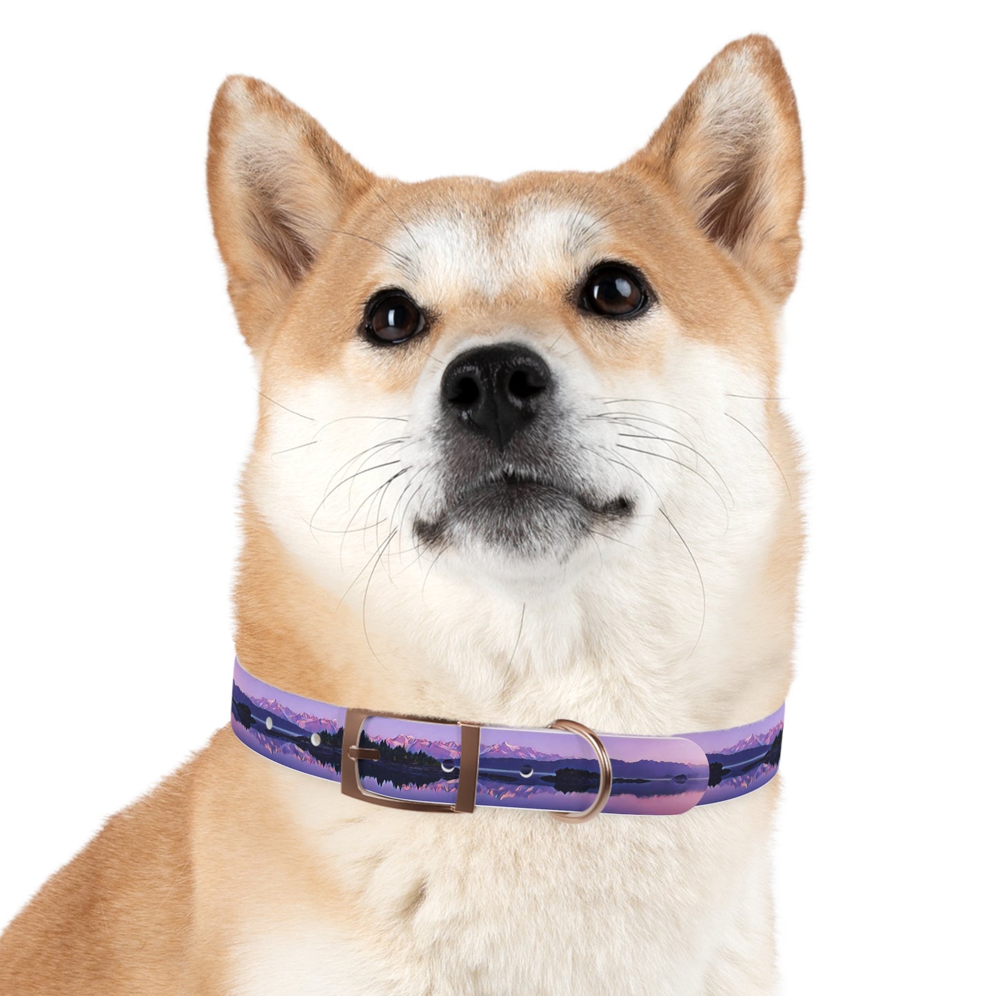 Dog Collar Alpenglow