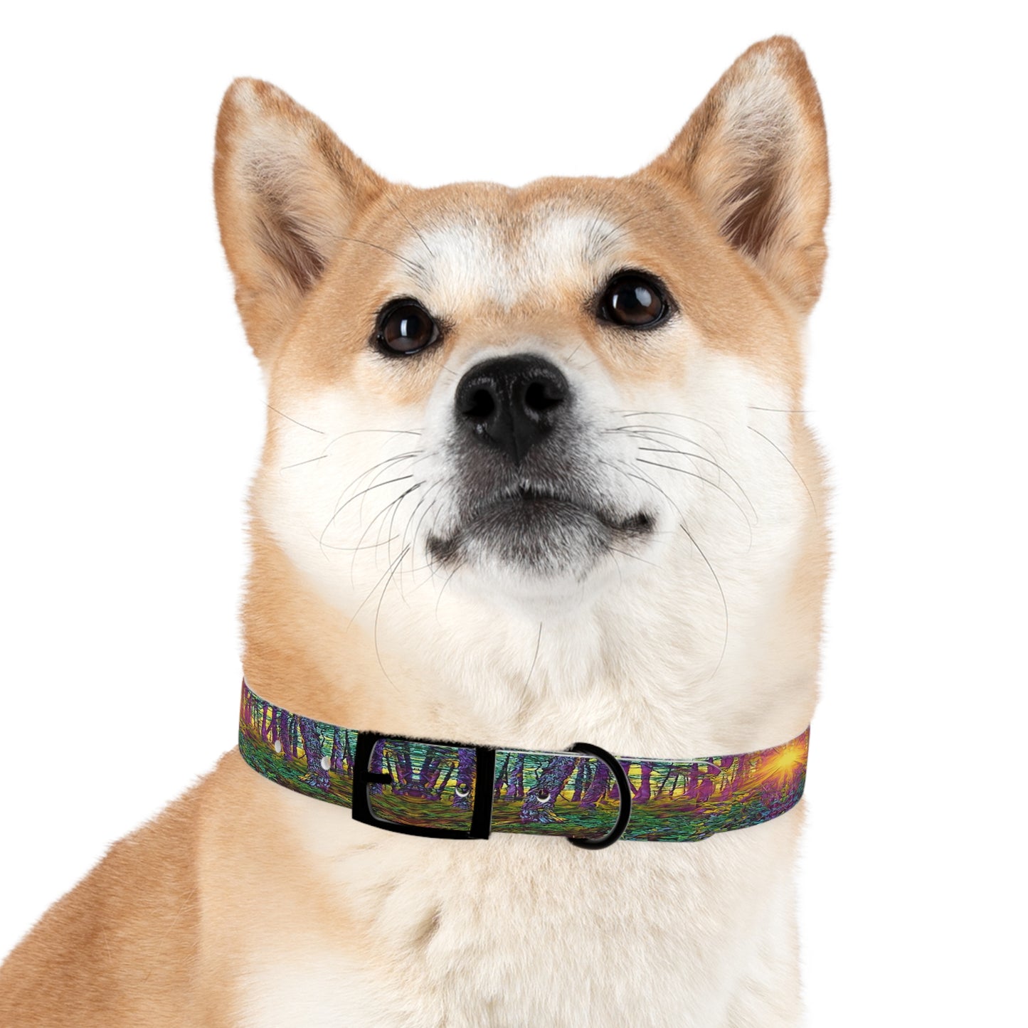 Dog Collar Crystal Light