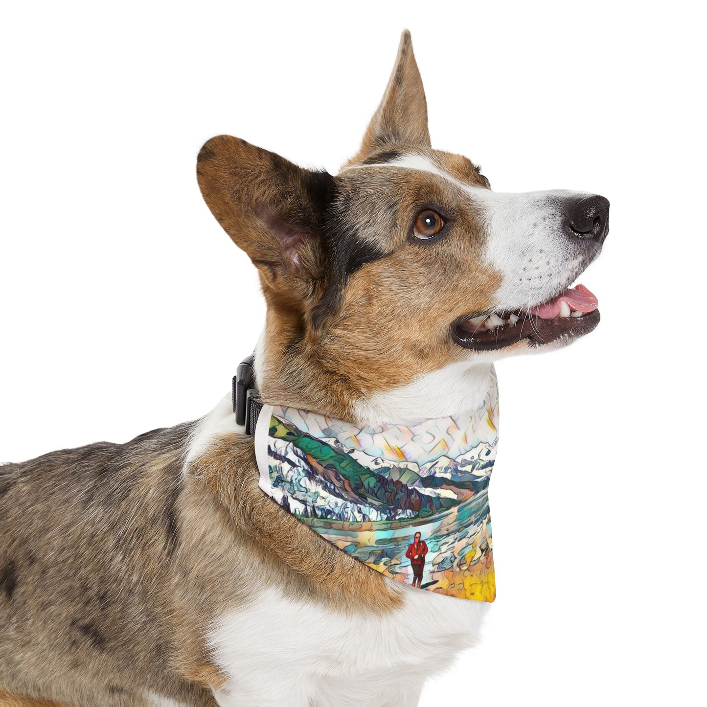 Pet Bandana Collar Beach