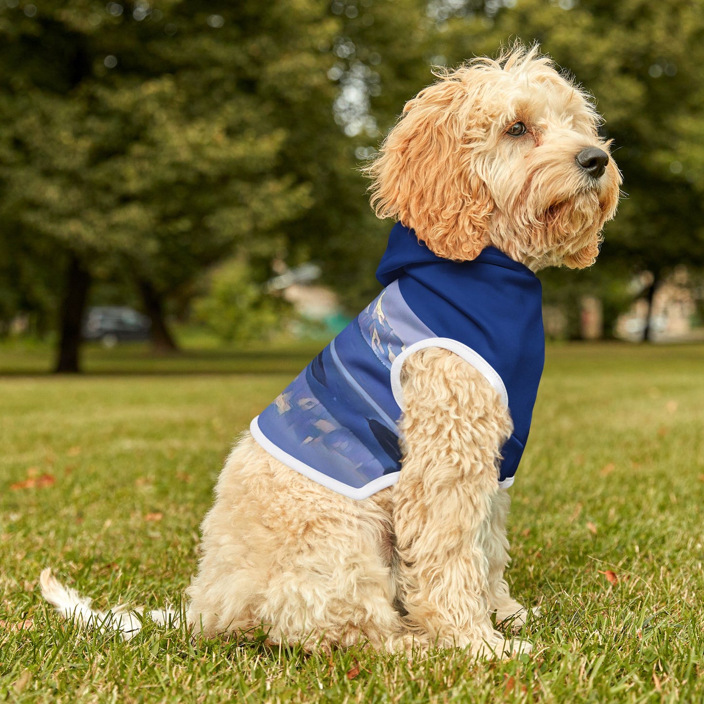 Pet Hoodie Morning Delight