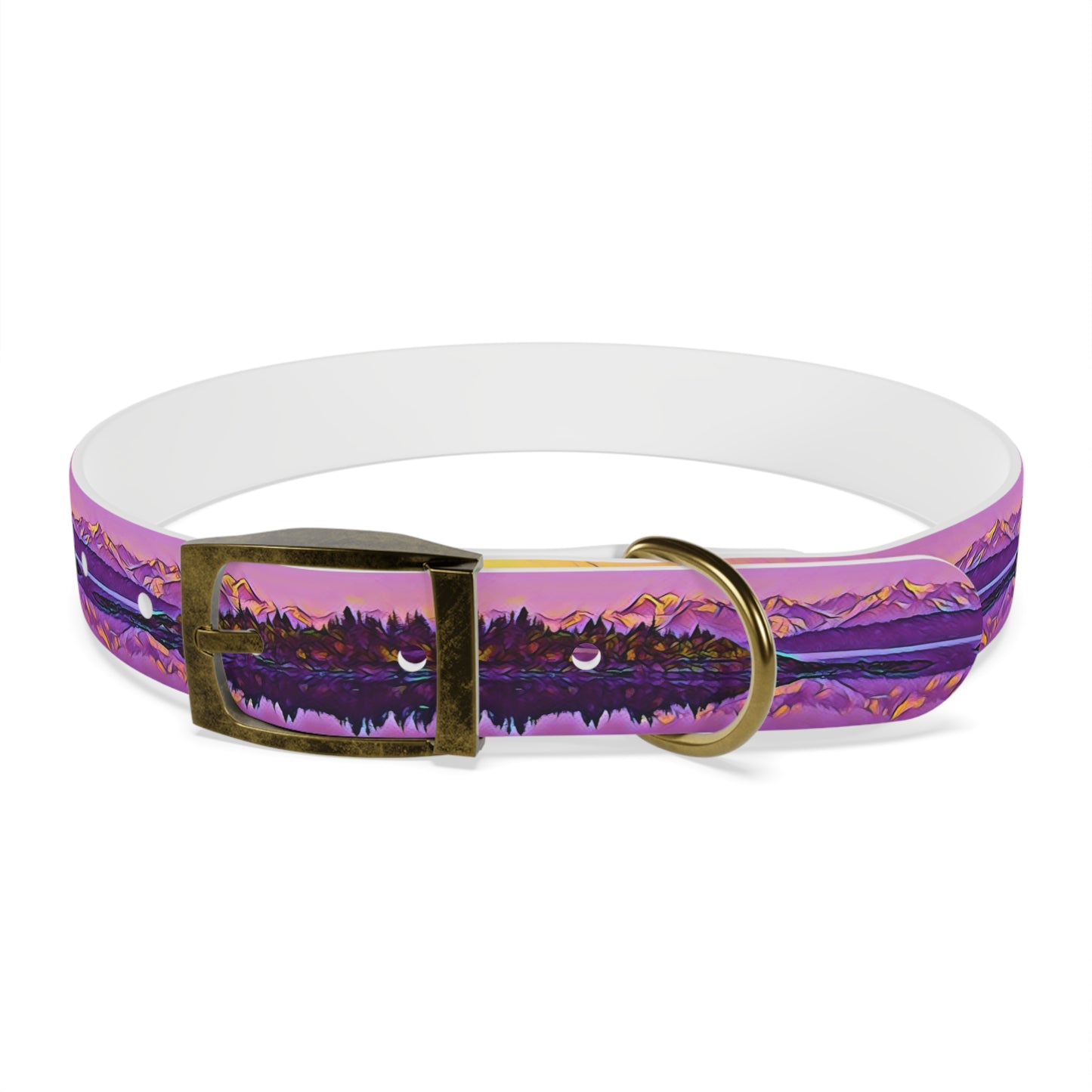 Dog Collar New Dawn