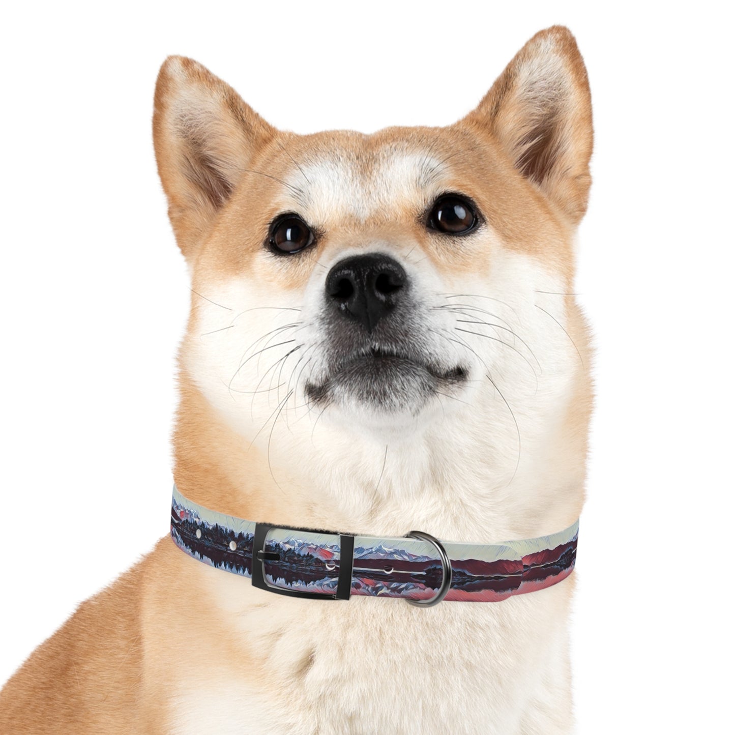 Dog Collar Ice & Fire