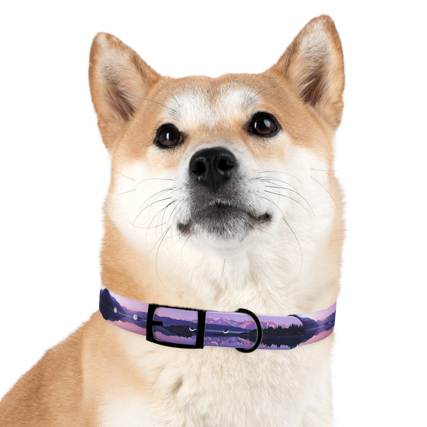 Dog Collar Alpenglow