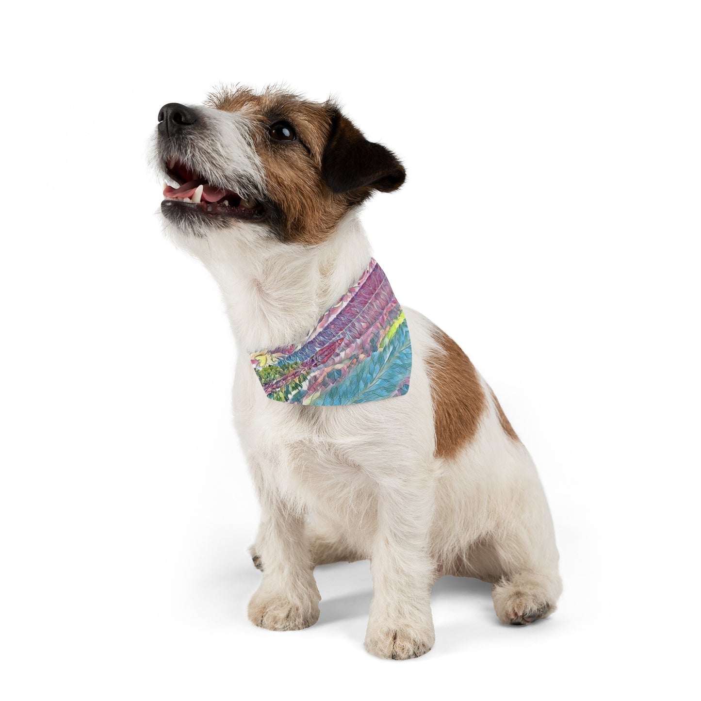 Pet Bandana Collar Oceans & Mtns