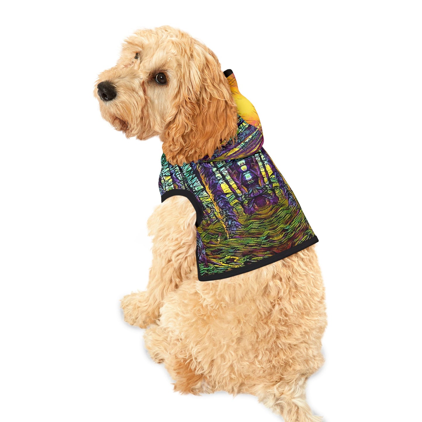 Pet Hoodie Crystal Light