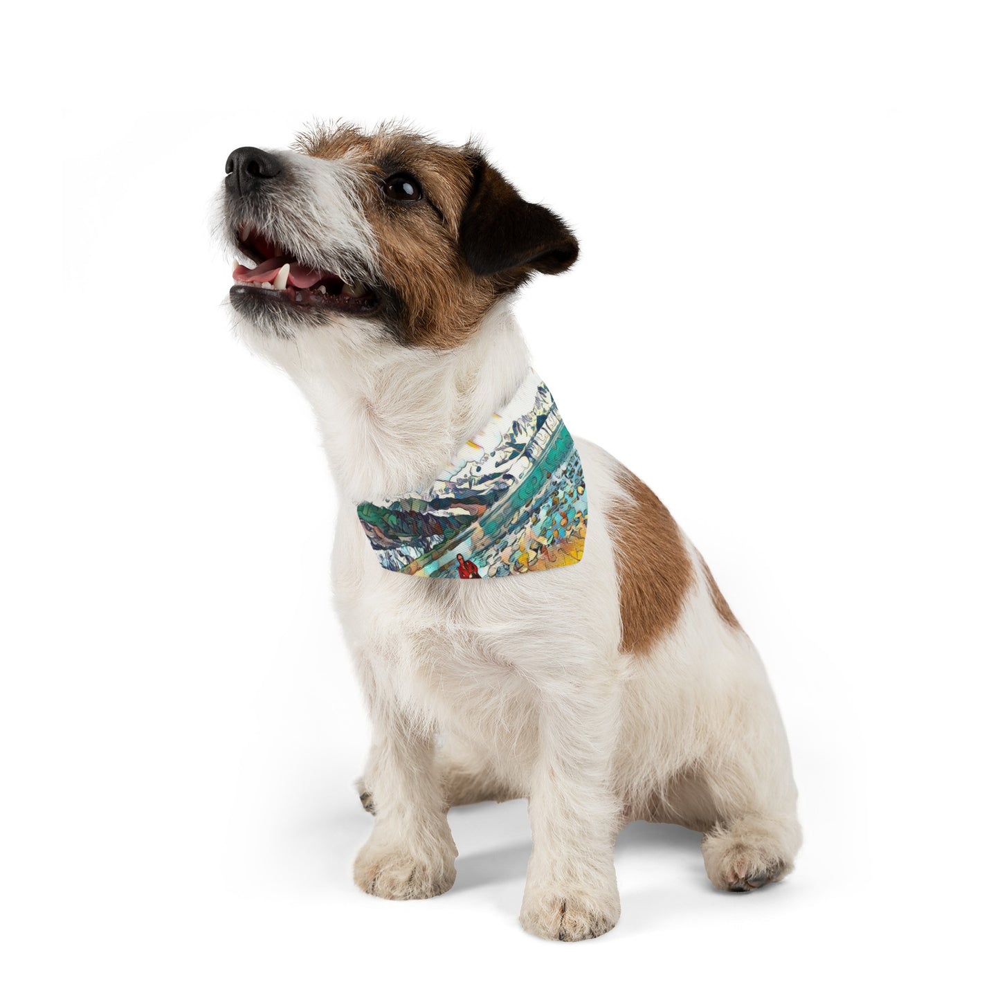 Pet Bandana Collar Beach