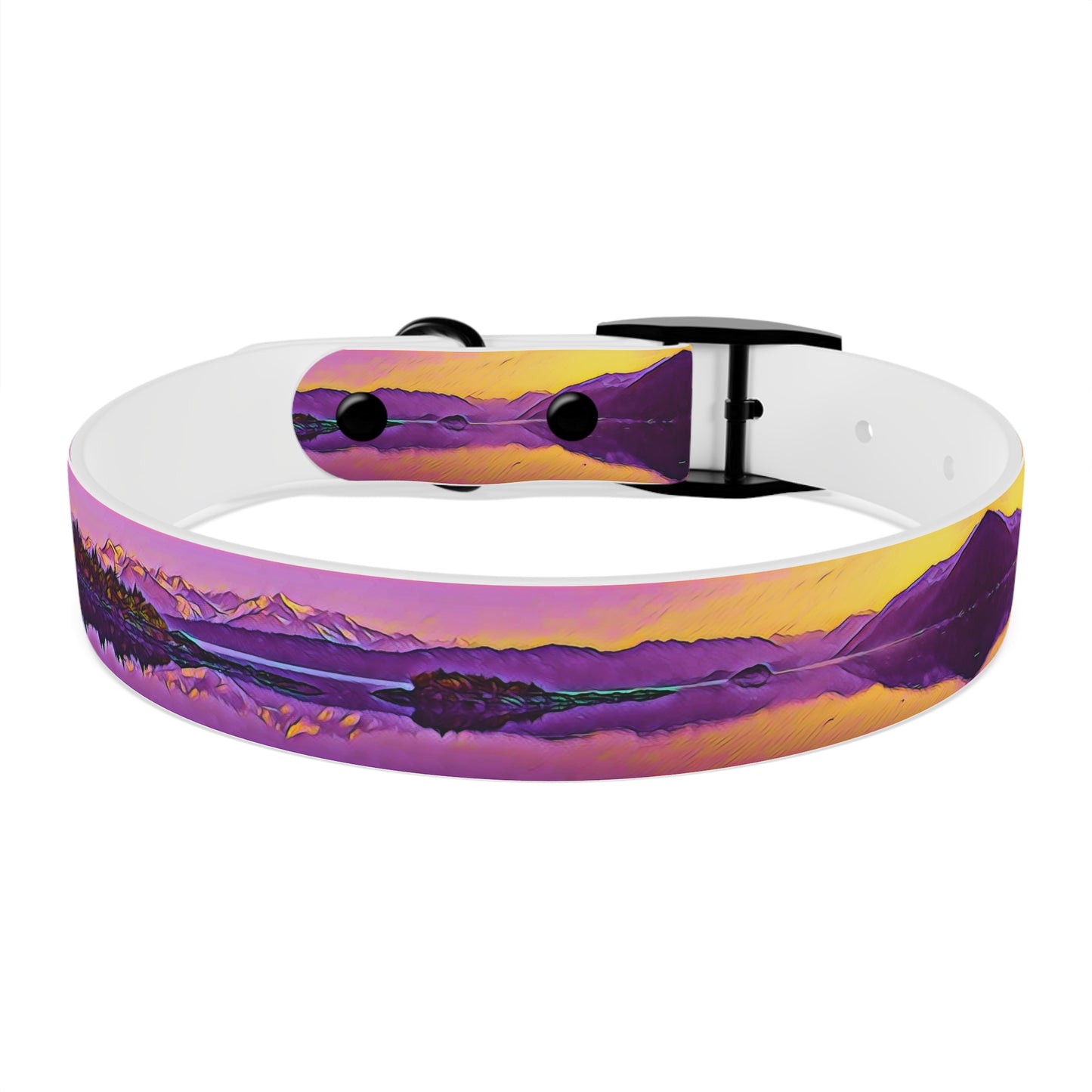 Dog Collar New Dawn