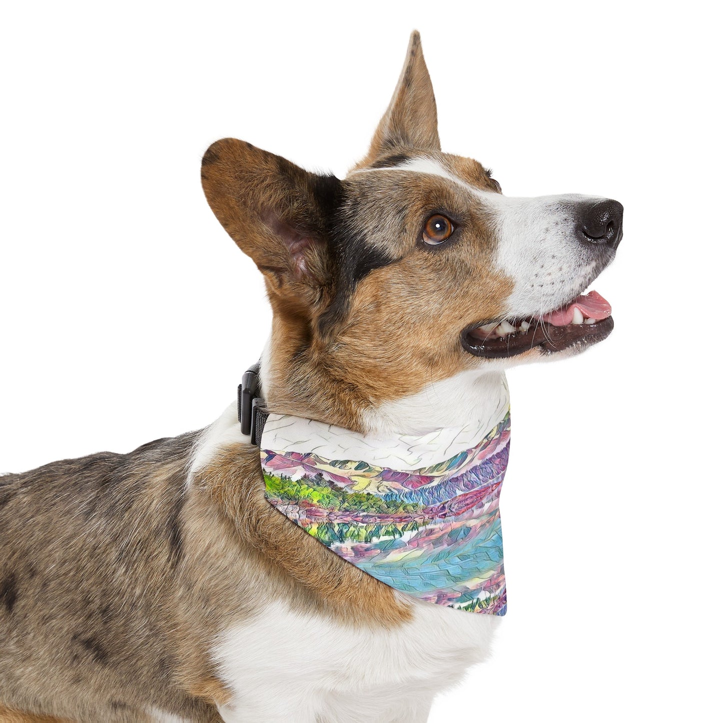 Pet Bandana Collar Oceans & Mtns