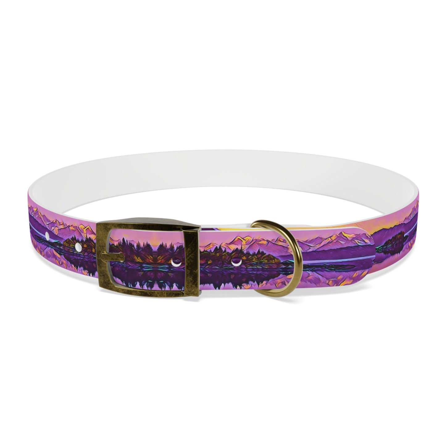 Dog Collar New Dawn