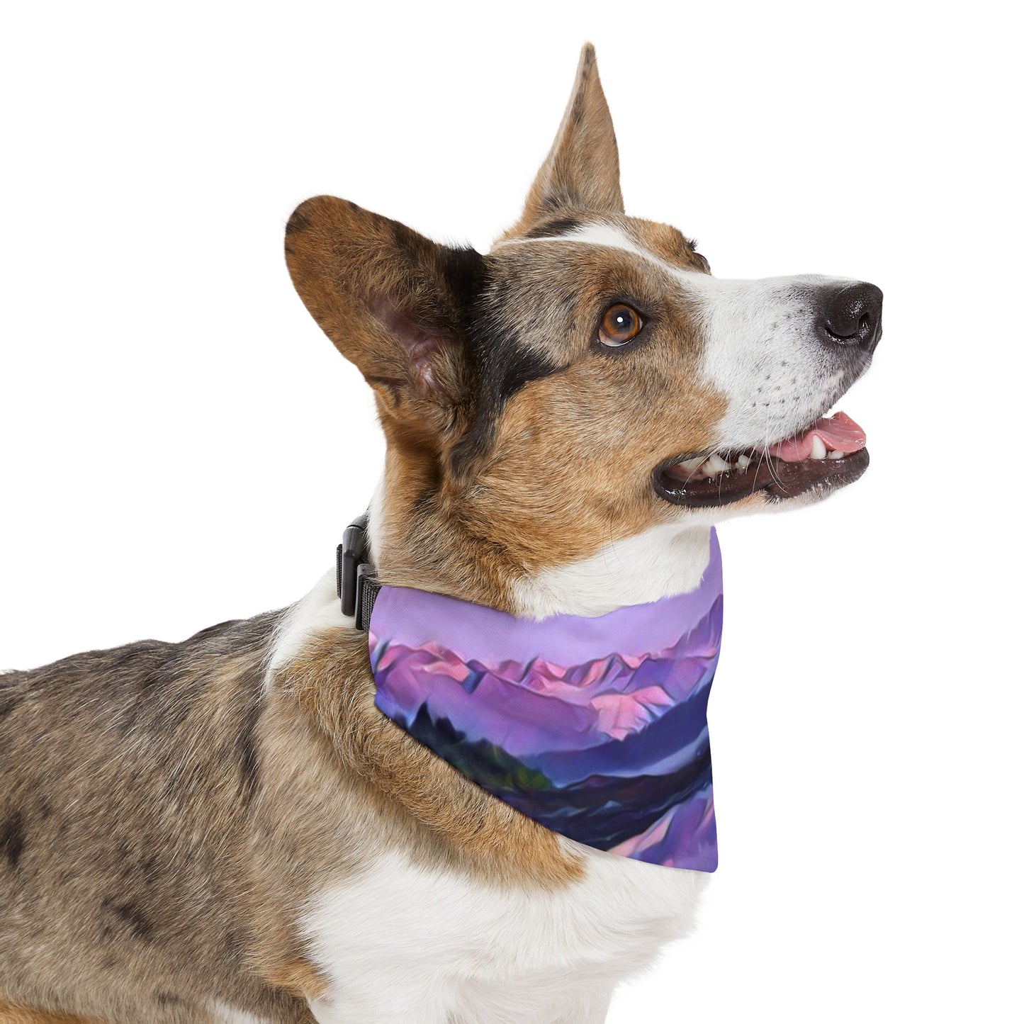 Pet Bandana Collar Alpenglow