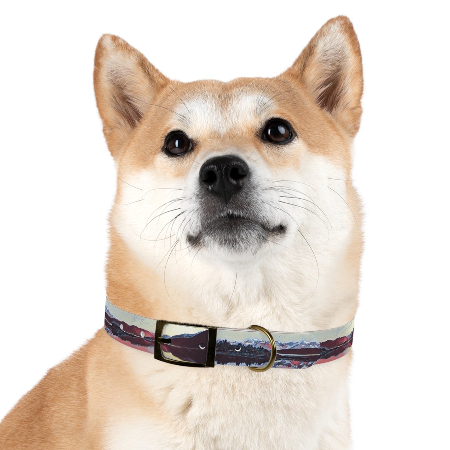 Dog Collar Ice & Fire