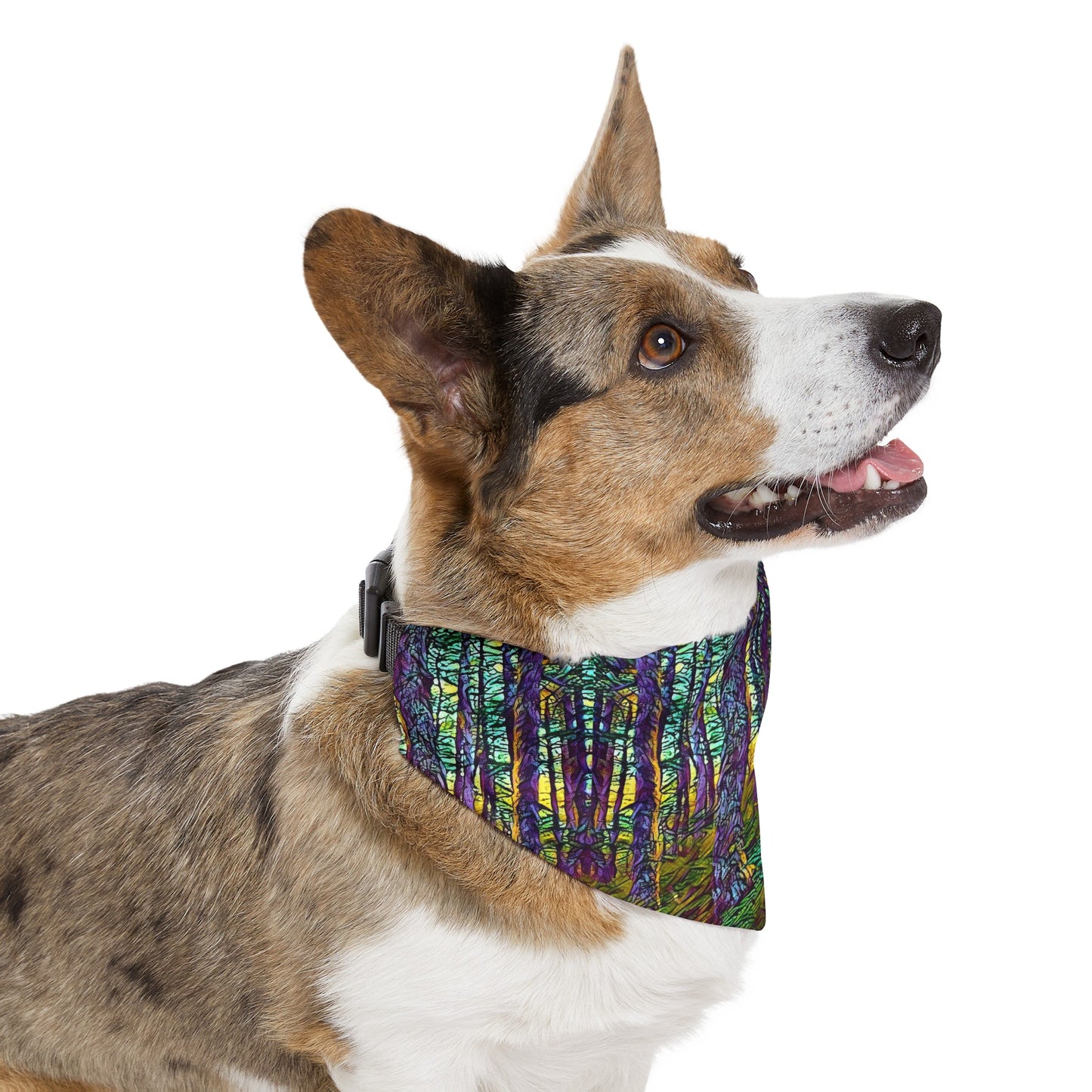 Pet Bandana Collar Crystal Light