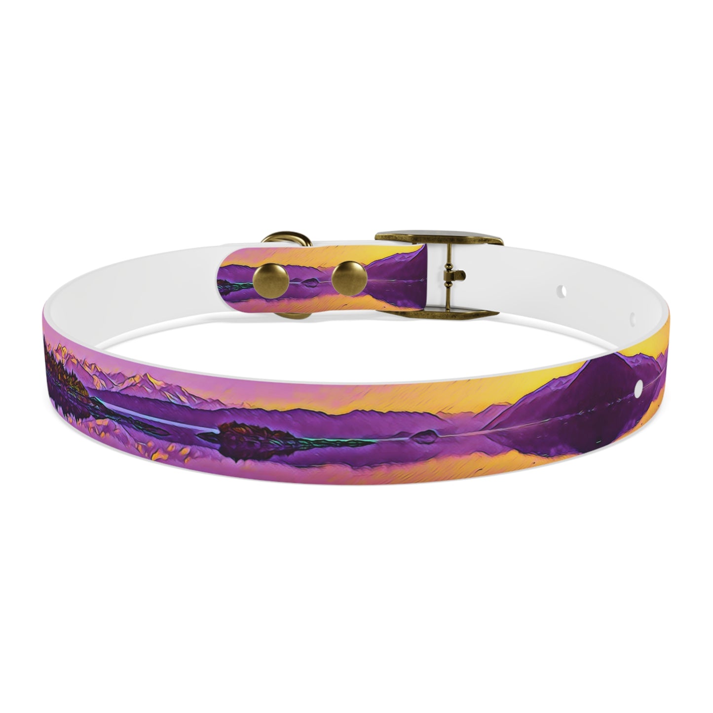 Dog Collar New Dawn