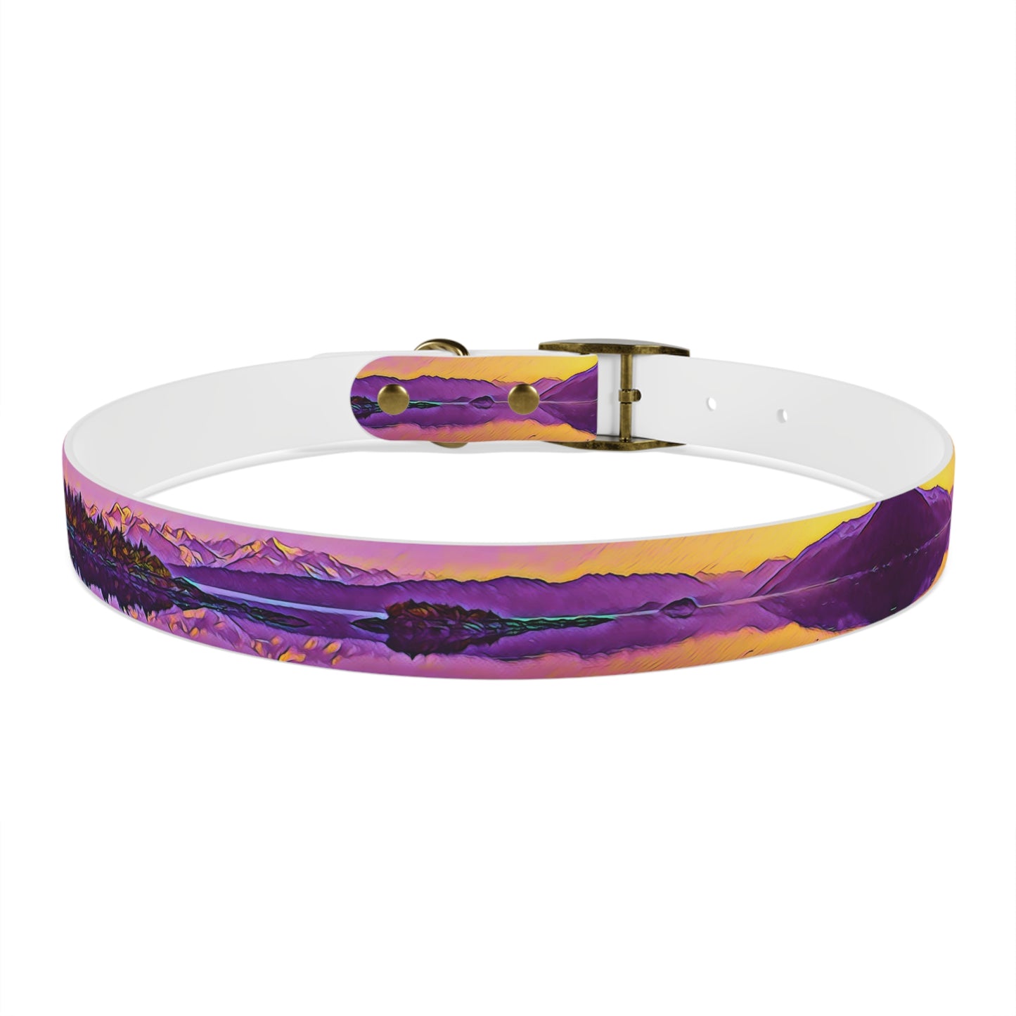 Dog Collar New Dawn