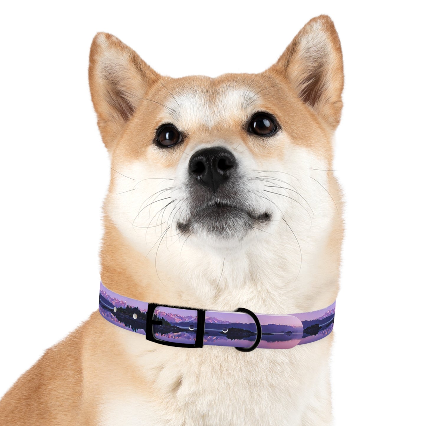 Dog Collar Alpenglow