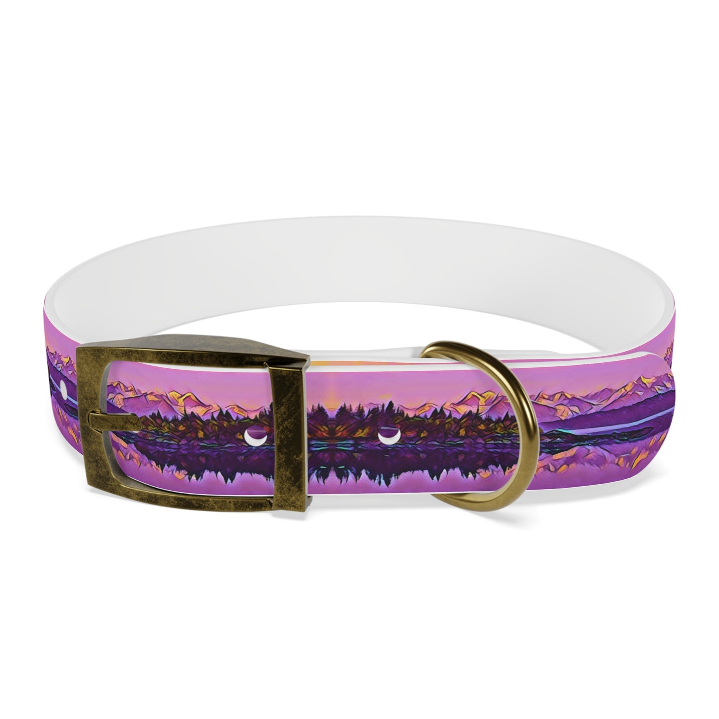 Dog Collar New Dawn