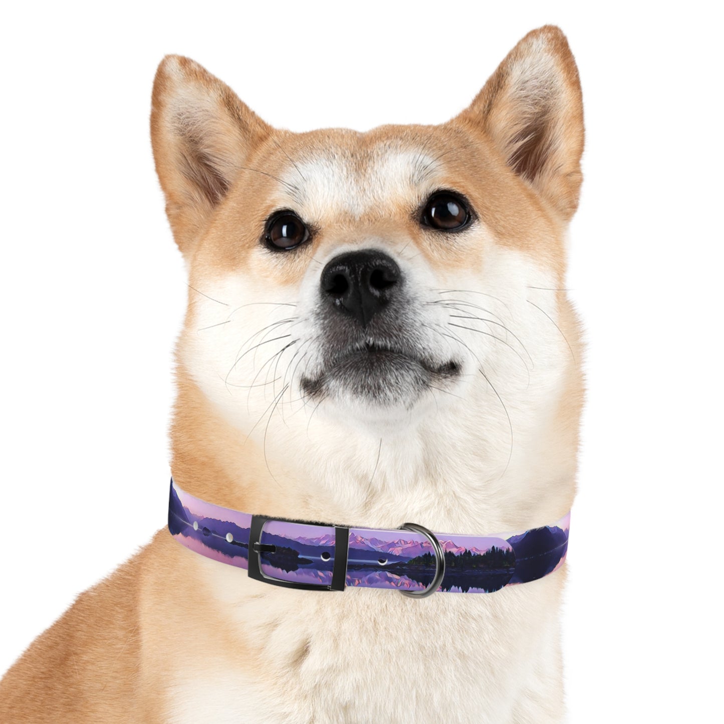 Dog Collar Alpenglow